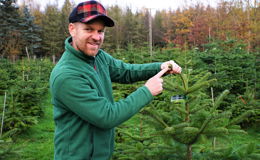 Ohne Weihnachtsbaum nur halb so gemütlich: Jens Hahn startet in die Saison