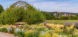 Studierende sollen von Angeboten der Landesgartenschau profitieren