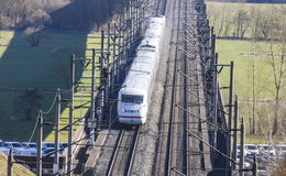 Bahnprojekt Fulda-Gerstungen: Bahn erfasst Tier- und Pflanzenbestand