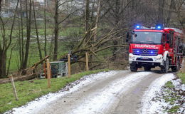 Schrecklicher Unfall bei Forstarbeiten: Mann stirbt in Kleinsassen