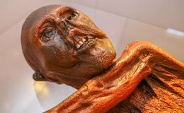 Täuschend echte Kopie: Große Ötzi-Ausstellung im Vonderau Museum