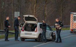 Unfall auf Landstraße: Polizei kümmert sich um Vierbeiner