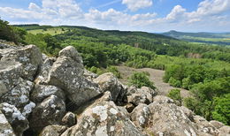 Vor 32 Jahren: Rhön wird zum UNESCO-Biosphärenreservat