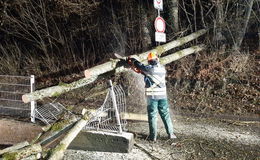 Heftiger Sturm am Freitagabend: Baum fällt auf Fahrbahn