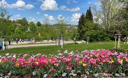 Blumenpracht, Wissenswertes und sieben Kilometer zu Fuß