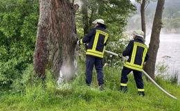 Feuerwehr rückt aus, um einen Baum zu löschen