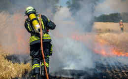 Feuerwehr kämpft gegen die Flammen an - "Feuer breitet sich aus"