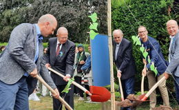 Ein Ginkgo mit Friedenswünschen - Jugendliche pflegen Kriegsgräber