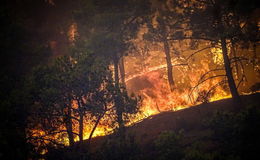 Weitere Waldbrände in Griechenland ausgebrochen