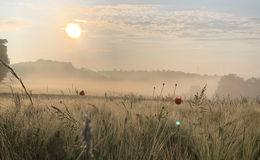 Osthessen können sich ab Donnerstag auf besseres Wetter freuen