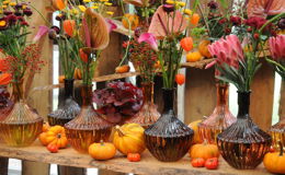 Kunterbuntes Farbspiel: "Herbstfest" stimmt auf behagliche Jahreszeit ein