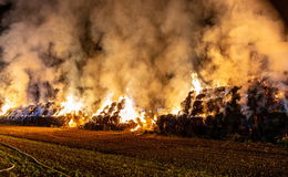 Rund 1.000 Strohballen in Brand: Polizei geht von Brandstiftung aus