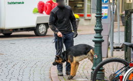 Kripo durchstreift mit Hund Innenstadtbereich - Rauschgiftdelikte im Fokus