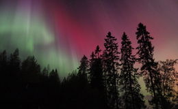 Warum auch in unserer Region Polarlichter den Himmel bunt machen