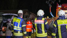 Pferd steckt in Güllegrube fest - aufwendiger Feuerwehreinsatz