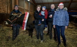 103.000 Liter Milch: Super-Kuh Annabell glänzt mit ihrer Lebensleistung