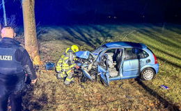 Kleinwagen prallt frontal in Baum - Fahrer zieht sich schwere Verletzungen zu