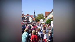 Straßensperrungen und Umleitungen am 17. März