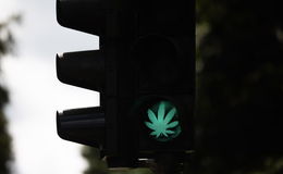 Bundestag entscheidet heute über eine teilweise Legalisierung von Cannabis