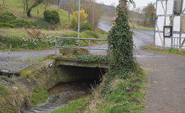 Glasfaser, Ärzte, Energie, Baugebiet und die Brücke vom Gehöft Roßbach