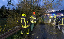 Sturm und Gewitter haben Folgen: Entwurzelte Bäume, Unfälle, Dach abgedeckt