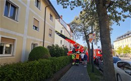 Feuerwehr rückt unverrichteter Dinge wieder ab: Kein Feuer in Sicht