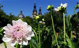 Dahliengarten wurde zu einem der schönsten Parks Deutschlands gewählt