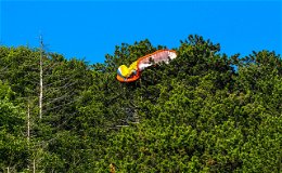 Gleitschirmflieger bleibt in Baum hängen