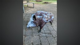 Wildschwein aus Plastik löst Polizeieinsatz auf Spielplatz aus