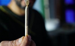 Kritik an Cannabis-Gesetz: "Mehr Fahrten unter Drogeneinfluss und Opfer"