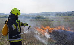 Initiative Waldbrand schult Feuerwehren: Taktik und Technik für den Einsatz