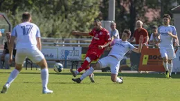 "Klarer Elfmeter" – HSV hadert nach Pleite mit Schiedsrichter