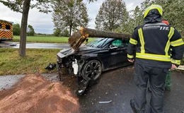 Unfall zwischen Johannesberg und Harmerz - Baum fällt aufs Autodach