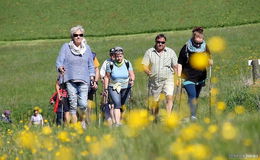 Aufwärmen zum traditionellen elften "Milseburger Herbstlauf"