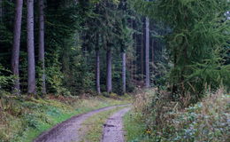 Polizei Hammelburg rettet verletzten Pilzsammler aus dem Wald