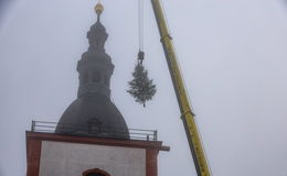 In der Domstadt weihnachtet es! Stadtpfarrkirche erhält Weihnachtsbäume