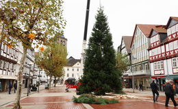 Keine Tanne, sondern ein Mammutbaum ziert den Linggplatz