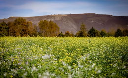 Platzt der warme Traum? Die Wetteraussichten in Osthessen