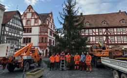 Besinnliche Zeit beginnt: Weihnachtsbaum auf dem Marktplatz aufgestellt