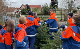 Wohin mit dem ausgedienten Weihnachtsbaum?