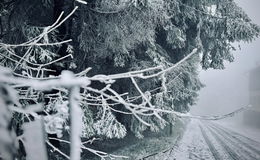 Letzte Ferienwoche neigt sich dem Ende zu - wie schaut das Wetter aus?