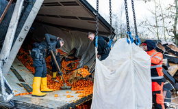 Spektakuläre Wendung nach Lkw-Unfall - Zoll durchsucht Mandarinen-Ladung