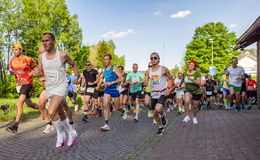 Mit der Rhönbahn hin, zu Fuß zurück: 30. Eichenzeller Frühlingslauf