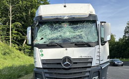 Umgefallener Baum auf Autobahn A7 zertrümmert Windschutzscheibe von Lkw
