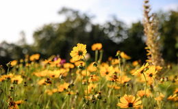 Frühling aus dem Gleichgewicht: Osthessen im Wettercheck