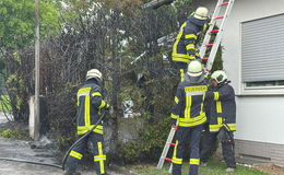 Meterhohe Hecke in Flammen - Feuerwehr kann Wohnhausbrand verhindern