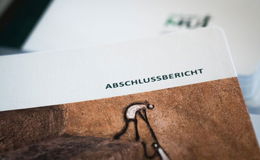 Unfassbare Taten: Missbrauchsbericht im Bistum - Das steht auf den 319 Seiten