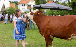 Das Highlight des Prämienmarktes: Die große Tierschau auf der Bleiche