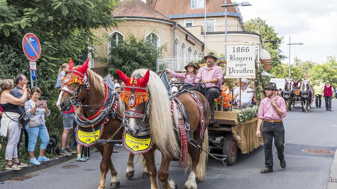 Pferdegespanne-f-r-historischen-Festzug-am-Rakoczy-Fest-gesucht