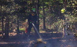 Flammen im Waldgebiet: 600 Quadratmeter Waldboden brennenn